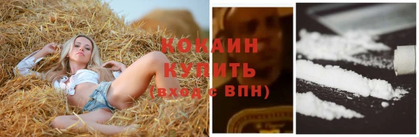 apvp Арсеньев