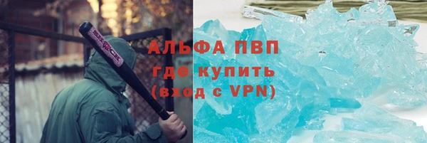 ешки Болотное