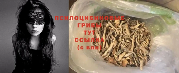 apvp Арсеньев